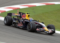 David Coulthard, Red Bull RB4, 2008 Turkish GP