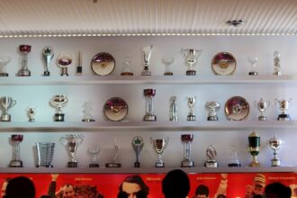 F1 Champions: All Time F1 World Title Winners List since 1950