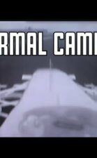 Monza onboard infra red thermal image F1 tyres