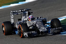 Daniel Ricciardo - Red Bull RB11