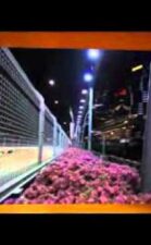 Vitantonio Liuzzi talks about his Singapore GP