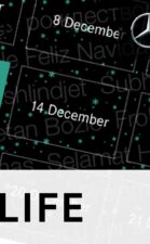 DAY 13 (13 fastest laps for the team in 2015) - F1 Advent Calendar 2015