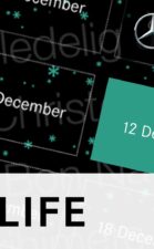 DAY 12 (12 1-2 Finishes in 2015) - F1 Advent Calendar 2015