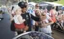 Lewis Hamilton makes selfie with child at Austrian GP 2016
