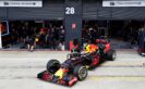 Max Verstappen RB12