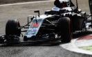 Fernando Alonso on track. Italian GP F1/2016.