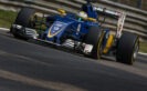 Marcus Ericsson Sauber - Monza Italian GP F1/2016