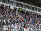 Fans GP BRASILE F1/2016