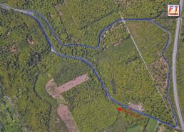 Disposición del circuito de Rouen-les-Essarts