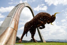 All info you need to see before the 2020 Austrian GP starts