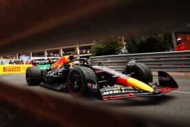 Red Bull F1 team decided to stop the 'green Red Bull' controversy