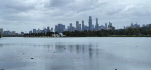 All Info You Want to See Before the 2024 Australian F1 GP Starts