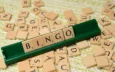 When Bingo Meets F1: A Unique Blend of Thrills and Entertainment